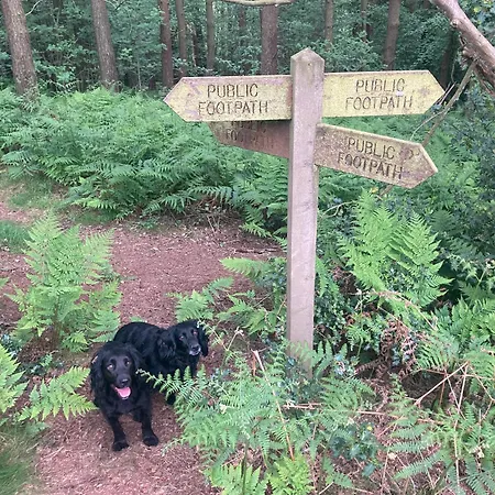 Prázdninový dům Bank Barn Cosy Self Catering 4 Guests Pickering